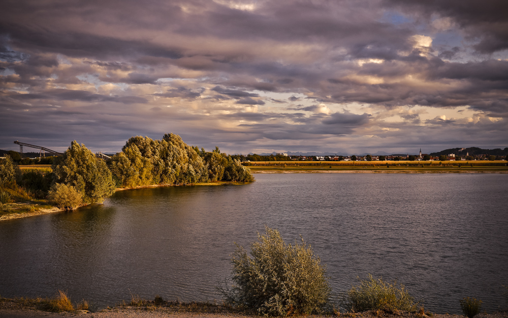 Platz 8 Anton Kienle